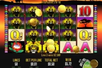50 lions main image