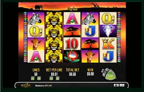 50 lions tips image